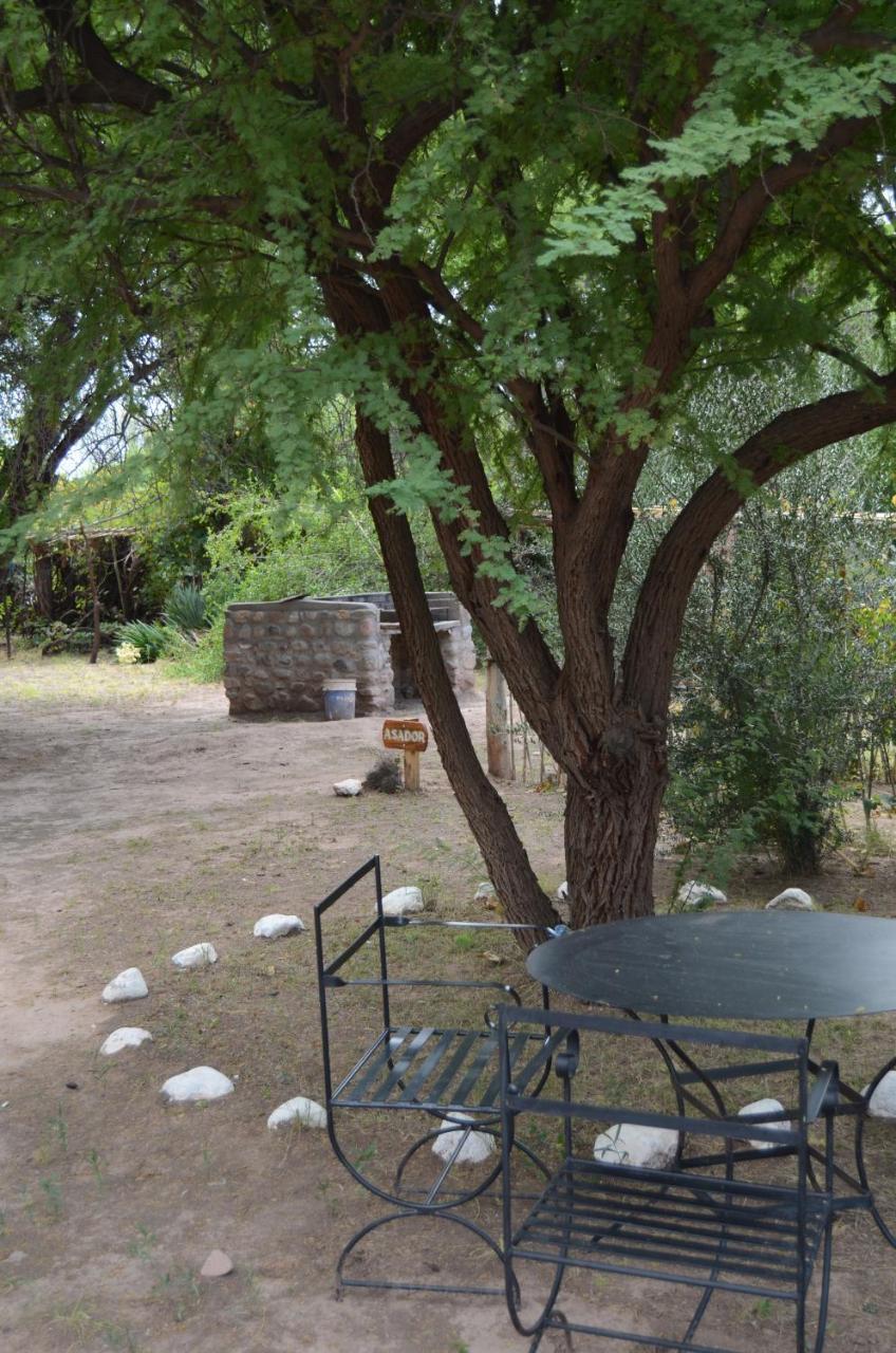 El Zorro Gris Villa Tinogasta Exterior foto